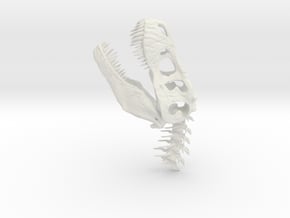 Tyrannosaurus Rex Skull- dinosaur head in White Natural Versatile Plastic