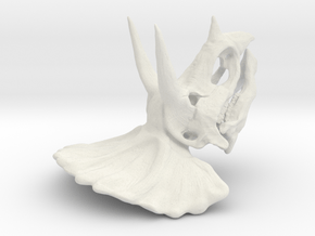 Triceratops Skull - dinosaur head in White Natural Versatile Plastic