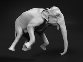 Indian Elephant 1:48 Female Hanging in Crane in White Natural Versatile Plastic