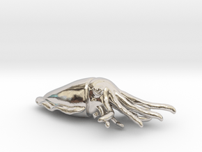 Cuttlefish Pendant or Brooch in Rhodium Plated Brass: Small
