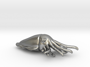 Cuttlefish Pendant or Brooch in Natural Silver: Small