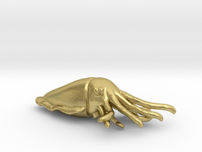 Cuttlefish Pendant or Brooch in Natural Brass: Small
