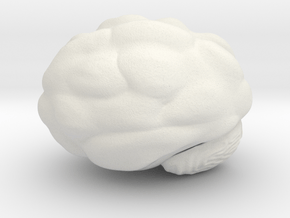 Cute Brain in White Natural Versatile Plastic: Large