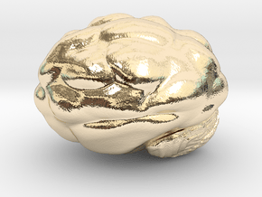 Cute Brain in 14k Gold Plated Brass: Large