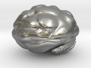 Cute Brain in Natural Silver: Large
