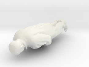 Printle C Homme 1720 - 1/24 - wob in White Natural Versatile Plastic