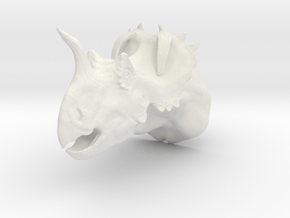 Centrosaurus Bust in White Natural Versatile Plastic