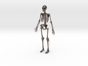 Human Skeleton -1:6 scale (30 cm) in Polished Bronzed-Silver Steel