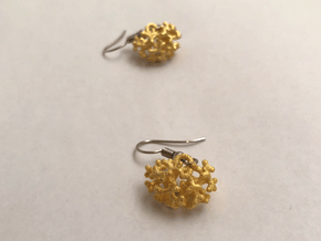 Embryonic kidney drop earring - horizontal version in Polished Gold Steel: Medium