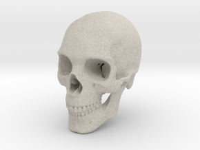 Human Skull 1:6 in Natural Sandstone