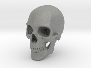 Human Skull 1:6 in Gray PA12