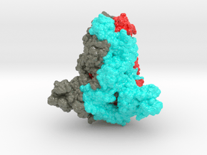 COVID_19_surface_glycoprotein in Glossy Full Color Sandstone: Medium