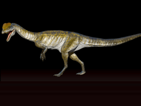 Digital-Dilophosaurus 1:15 scale  in dilopho1a15test3