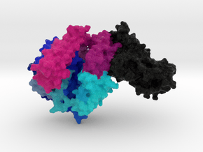 COVID-19 Spike Binding-Domain complexed with ACE2  in Natural Full Color Sandstone