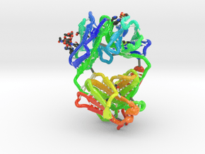 Antibody Fab Fragment in Glossy Full Color Sandstone