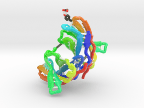 Cytotoxic T Lymphocyte-Associated 4 (CTLA4)(Large) in Glossy Full Color Sandstone