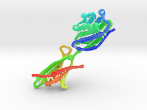 Programmed death-ligand 1 (PD-L1)(CD274) in Glossy Full Color Sandstone