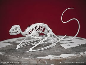 Wyvern Skeleton in White Natural Versatile Plastic