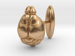 Mouse Brain Cufflink (R, 1:1, anatom. accurate) in Polished Bronze