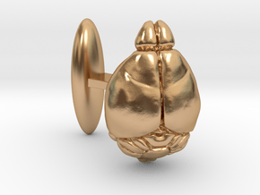 Mouse Brain Cufflink (L, 1:1, anatom. accurate) in Polished Bronze