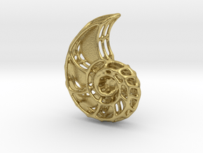 Nautilus skeleton pendant in Natural Brass