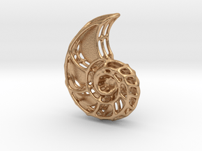 Nautilus skeleton pendant in Natural Bronze