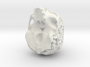 Patterned Human Skull Sculpture in White Natural Versatile Plastic