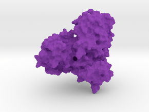 Crystal Structure of the SARS Coronavirus Main Pro in Purple Processed Versatile Plastic: Extra Small