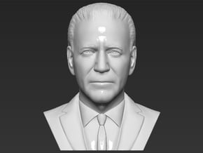 Joe Biden bust in White Natural Versatile Plastic