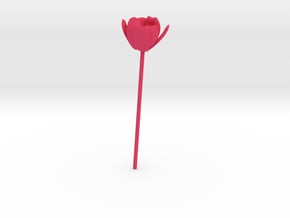 Tulip in Pink Processed Versatile Plastic