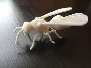 Detailed Wasp 42mm in White Natural Versatile Plastic