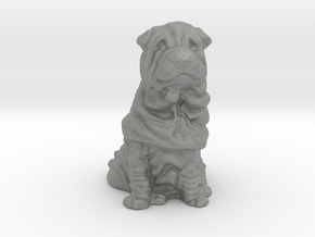 S Scale Shar Pei in Gray PA12