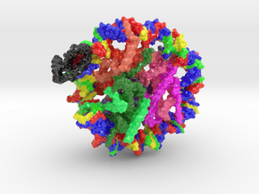 Nucleosome in complex with Sox2 (Large) in Glossy Full Color Sandstone