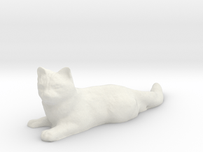 1/24 Cat on Ground in White Natural Versatile Plastic