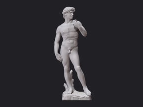 David Statue by Michelangelo 3D print in White Natural Versatile Plastic