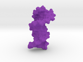 DNA  in Purple Processed Versatile Plastic