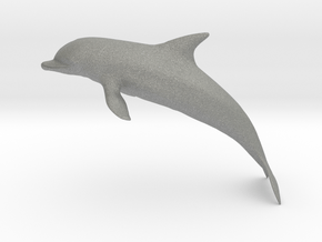 Dolphin in Gray PA12: Medium