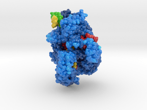 CRISPR-Cpf1 5B43 in Glossy Full Color Sandstone: Extra Small