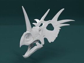 Styracosaurus Skull- 1/18th scale replica in White Natural Versatile Plastic: 1:18