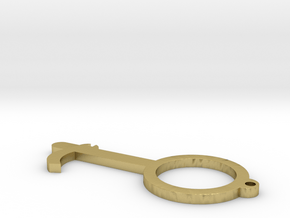 Door opener/pusher w/ lock opener in Natural Brass