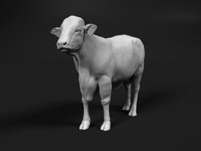 Brangus 1:9 Standing Cow in White Natural Versatile Plastic