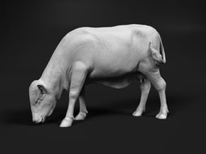 Brangus 1:16 Grazing Cow in White Natural Versatile Plastic