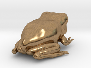 Eastern Gray Tree Frog in Natural Brass