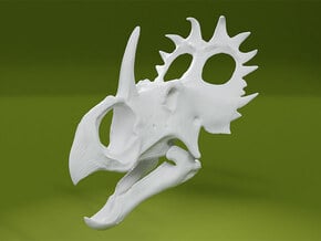 Sinoceratops Skull in White Natural Versatile Plastic: 1:18