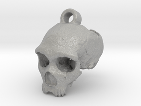 Neanderthal skull in Aluminum