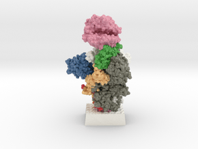 SARS-CoV-2 Spike Glycoprotein ACE2 Receptor Comple in Glossy Full Color Sandstone: Extra Small