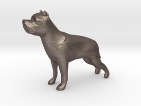 American Staffordshire figurine in Polished Bronzed-Silver Steel