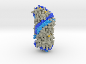 Superhelix Model of High Density Lipoprotein 3K2S in Glossy Full Color Sandstone: Extra Small