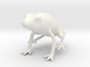 Frog in White Natural Versatile Plastic