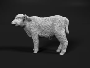 Highland Cattle 1:35 Standing Calf in White Natural Versatile Plastic